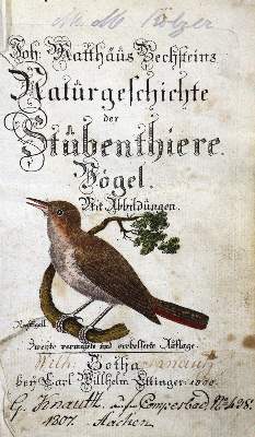 Bild Nr.1: 123-1460 Bechstein,J.M.: (Zoologie, Vögel)