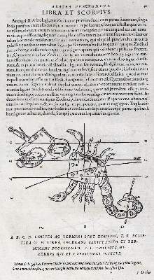 Bild Nr.4: 123-1470 (Aratus Solensis.: (Verschiedene Gebiete - Varia, Astronomie)