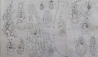 Bild Nr.1: 123-1473 Atti della Riunione: (Verschiedene Gebiete - Varia)