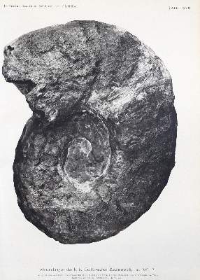 Bild Nr.1: 123-1503 Toula,F.: (Verschiedene Gebiete - Varia, Geologie - Mineralogie u. Paläontologie)