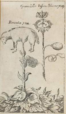 Bild Nr.4: 123-1537 Seyfried,J.H.: (Verschiedene Gebiete - Varia)