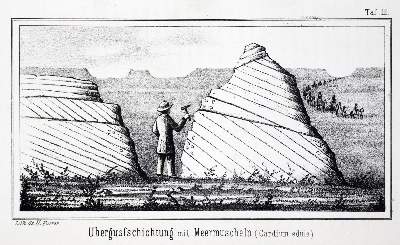 Bild Nr.1: 123-1559 Desor,E.: (Afrika)