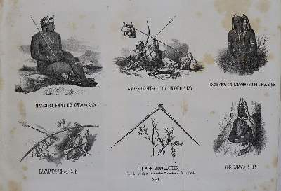 Bild Nr.1: 123-1561 Galton,F.: (Afrika)