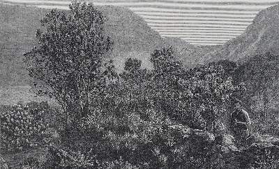 Bild Nr.1: 123-1562 Körner,F.: (Afrika)