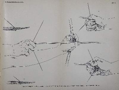 Bild Nr.1: 123-1567 Passarge,S.: (Afrika)