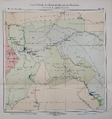 Bild Nr.1: 123-1568 Rehbock,T.: (Afrika)