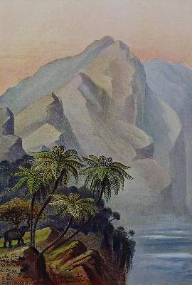 Bild Nr.1: 123-1573 Haeckel,E.: (Asien)