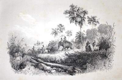 Bild Nr.4: 123-1574 Waldemar, Prinz von Preußen.: (Asien, Indien)