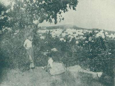 Bild Nr.3: 123-1728 Trede,W.: (Italien, Capri)