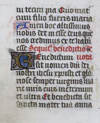 Bild Nr.11: 123-194 Stundenbuch.: (Handschriften)
