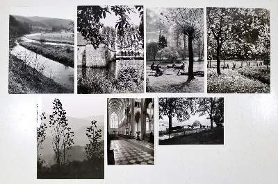 Bild Nr.2: 123-2521 Halbach, Carlfred: (Photographie)