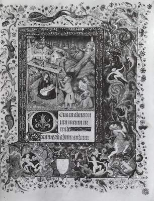 Bild Nr.1: 123-2537 Kreuter-Eggemann,H.: (Photographie)