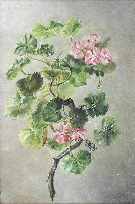 Bild Nr.10: 123-2588 Blumenstillleben.: (Varia, Botanik)