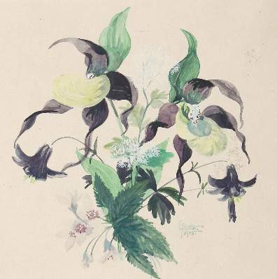 Bild Nr.2: 123-2603 Wildrose: (Varia, Botanik)