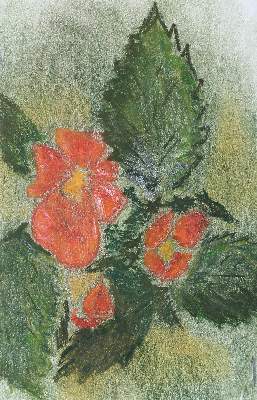 Bild Nr.3: 123-2615 Garten: (Varia)