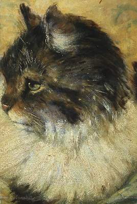 Bild Nr.1: 123-2628 Katze.: (Varia)