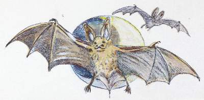 Bild Nr.2: 123-2660 Hellgrewe, Jutta: (Varia, Märchen)