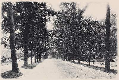 Bild Nr.1: 123-2753 Baden-Baden.: (Deutschland)