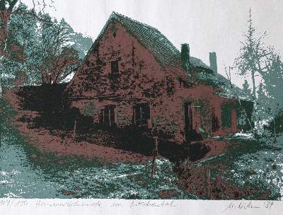 Bild Nr.3: 123-2830 Schwarzwald.: (Deutschland)