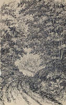 Bild Nr.2: 123-2970 Gutensteiner Alpen.: (Ausland, Österreich)