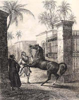 Bild Nr.2: 123-2982 Sammlung: (Ausland, Orient)