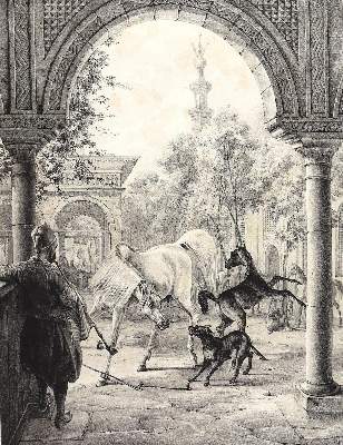 Bild Nr.3: 123-2982 Sammlung: (Ausland, Orient)