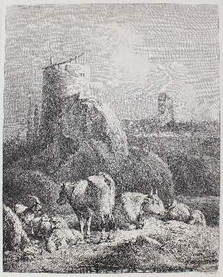 Bild Nr.1: 123-3078 Bartsch, Adam von: (Künstlergraphik)