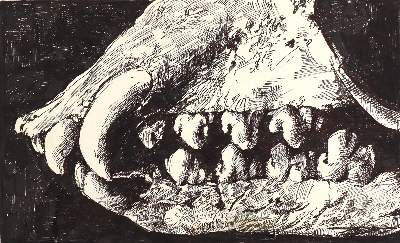 Bild Nr.6: 123-3097 Beck, Olaf: (Künstlergraphik)