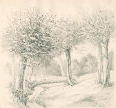 Bild Nr.2: 123-3242 Douzette, Fritz: (Künstlergraphik)