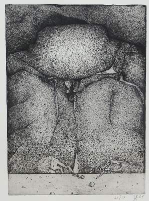 Bild Nr.1: 123-3433 Janssen, Horst: (Künstlergraphik)