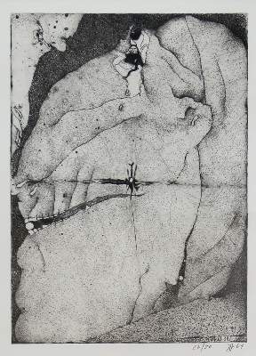 Bild Nr.1: 123-3434 Janssen, Horst: (Künstlergraphik)