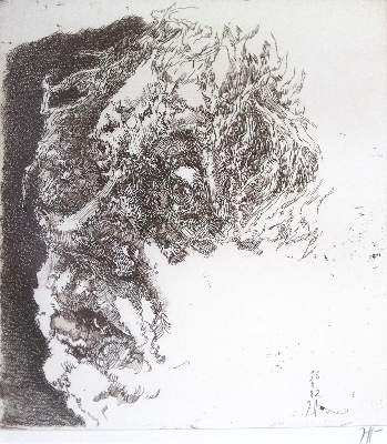 Bild Nr.1: 123-3435 Janssen, Horst: (Künstlergraphik)