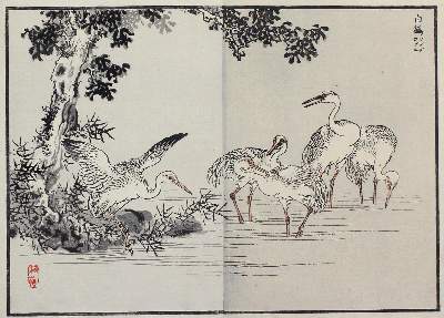 Bild Nr.2: 123-3437 Bairei, Kono Naotoyo: (Künstlergraphik, Japan)