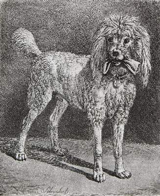 Bild Nr.1: 123-3566 Klein, Johann Adam: (Künstlergraphik)