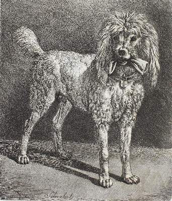 Bild Nr.4: 123-3570 Klein, Johann Adam: (Künstlergraphik)