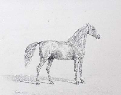 Bild Nr.1: 123-3571 Klein, Johann Adam: (Künstlergraphik)