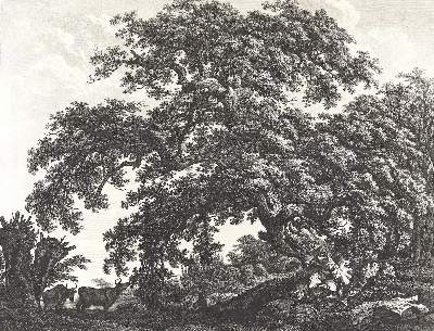 Bild Nr.1: 123-3606 Kolbe, Carl Wilhelm d.Ä.: (Künstlergraphik)