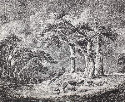 Bild Nr.1: 123-3747 Menken, Johann Heinrich: (Künstlergraphik)