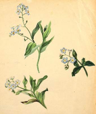 Bild Nr.4: 123-3791 Oesterley, Hulda: (Künstlergraphik)