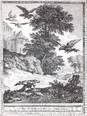 Bild Nr.1: 123-3799 Oudry, Jean Baptiste: (Künstlergraphik)