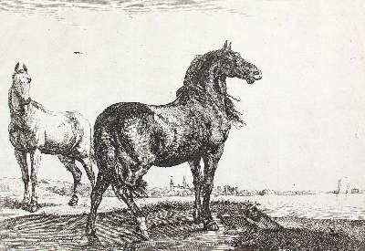 Bild Nr.1: 123-3881 Potter, Paulus: (Künstlergraphik)