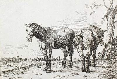 Bild Nr.2: 123-3881 Potter, Paulus: (Künstlergraphik)
