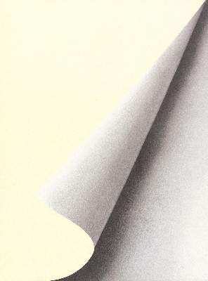 Bild Nr.1: 123-3918 Richter, Gerhard: (Künstlergraphik)