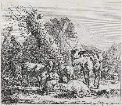 Bild Nr.1: 123-3935 Roos, Johann Heinrich: (Künstlergraphik)