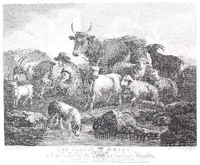 Bild Nr.1: 123-3939 Roos, Philipp Peter: (Künstlergraphik)