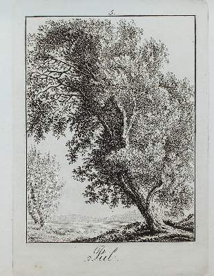 Bild Nr.6: 123-3945 Rossi, Matteo Gregorio de: (Künstlergraphik)