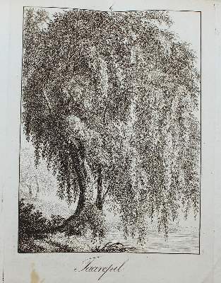 Bild Nr.7: 123-3945 Rossi, Matteo Gregorio de: (Künstlergraphik)