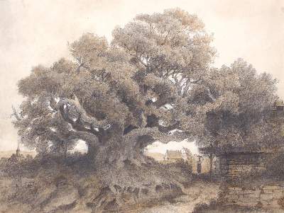 Bild Nr.1: 123-3989 Schirmer, Wilhelm: (Künstlergraphik)