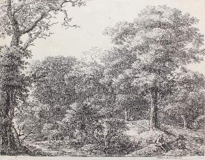 Bild Nr.1: 123-4151 Waterloo, Anthonie: (Künstlergraphik)