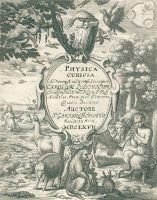 Bild Nr.2: 123-416 Schott,G.P.: (Grenzwissenschaften und Okkultismus)